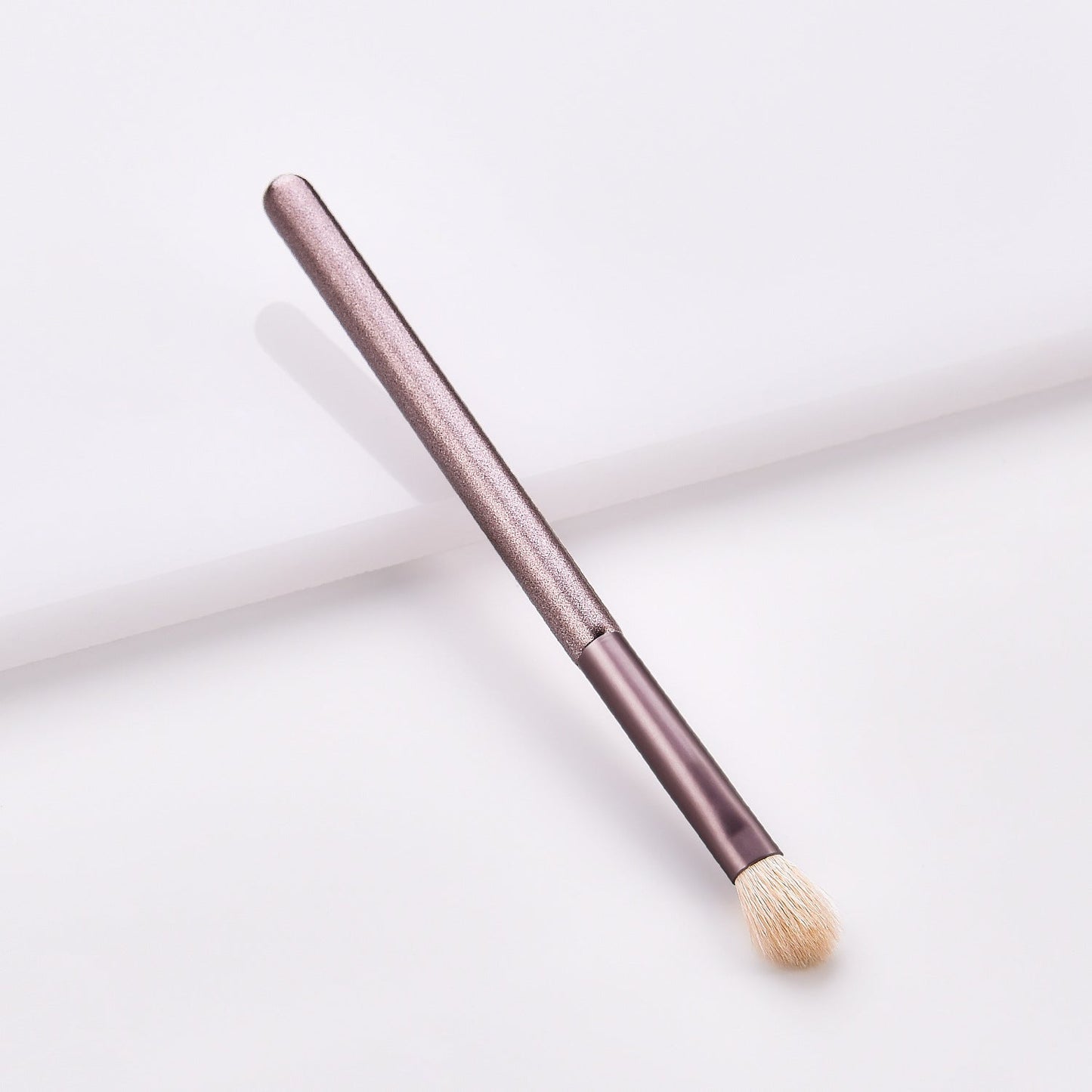 Makeup Brushes Set (12 Pieces)