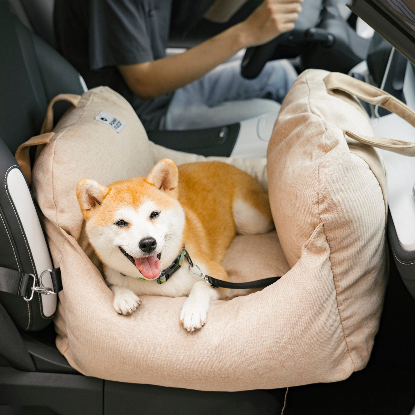 First Class Dog Seat