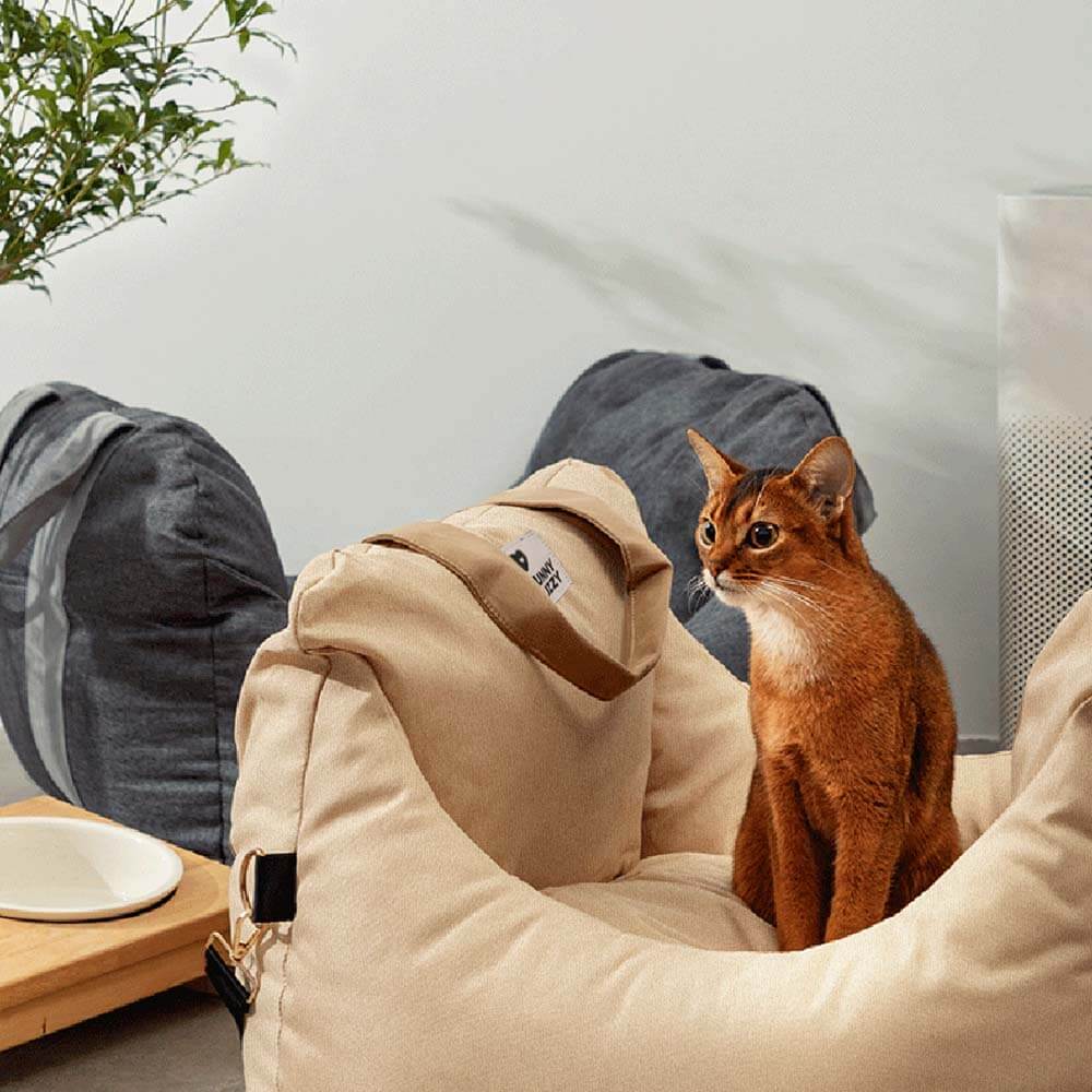 First Class Dog Seat