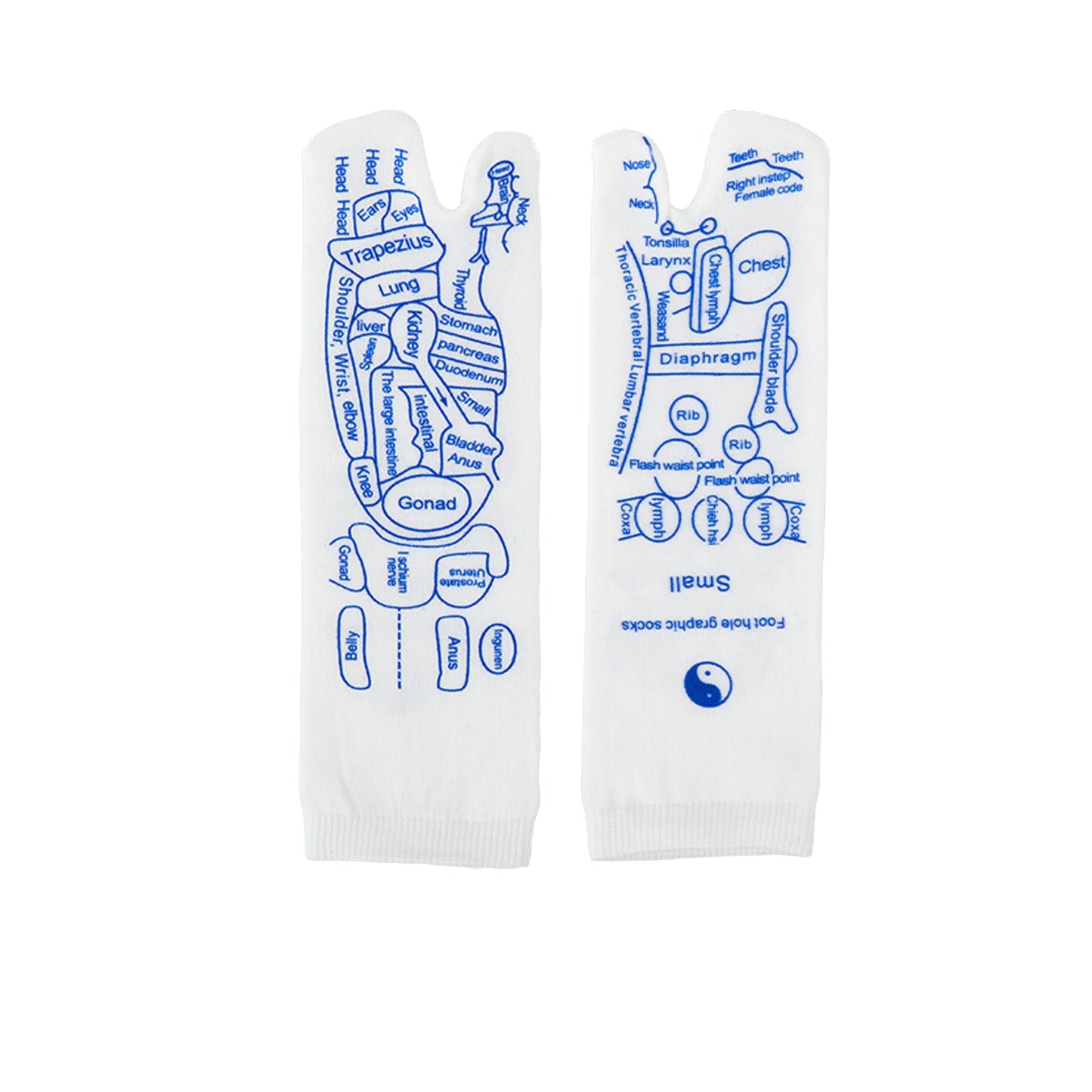 Essential™ Reflexology Chart Socks