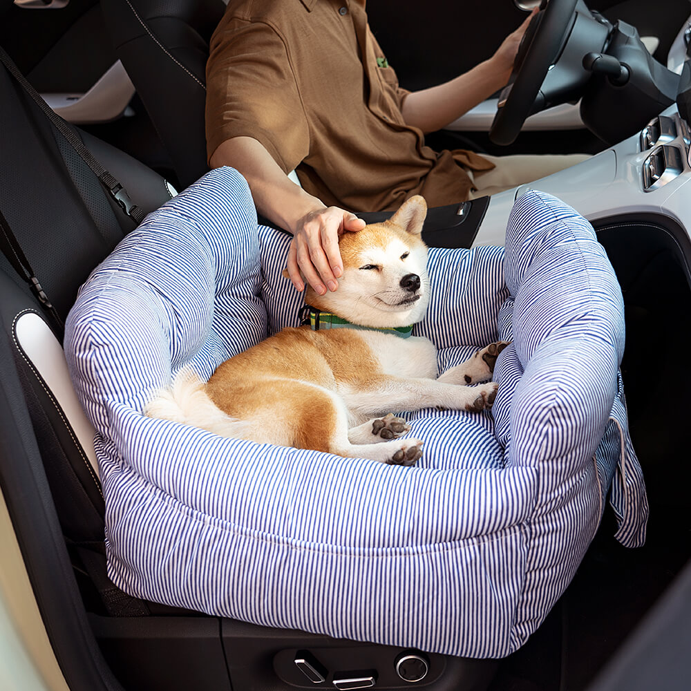 First Class Dog Seat