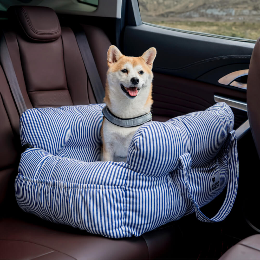 First Class Dog Seat
