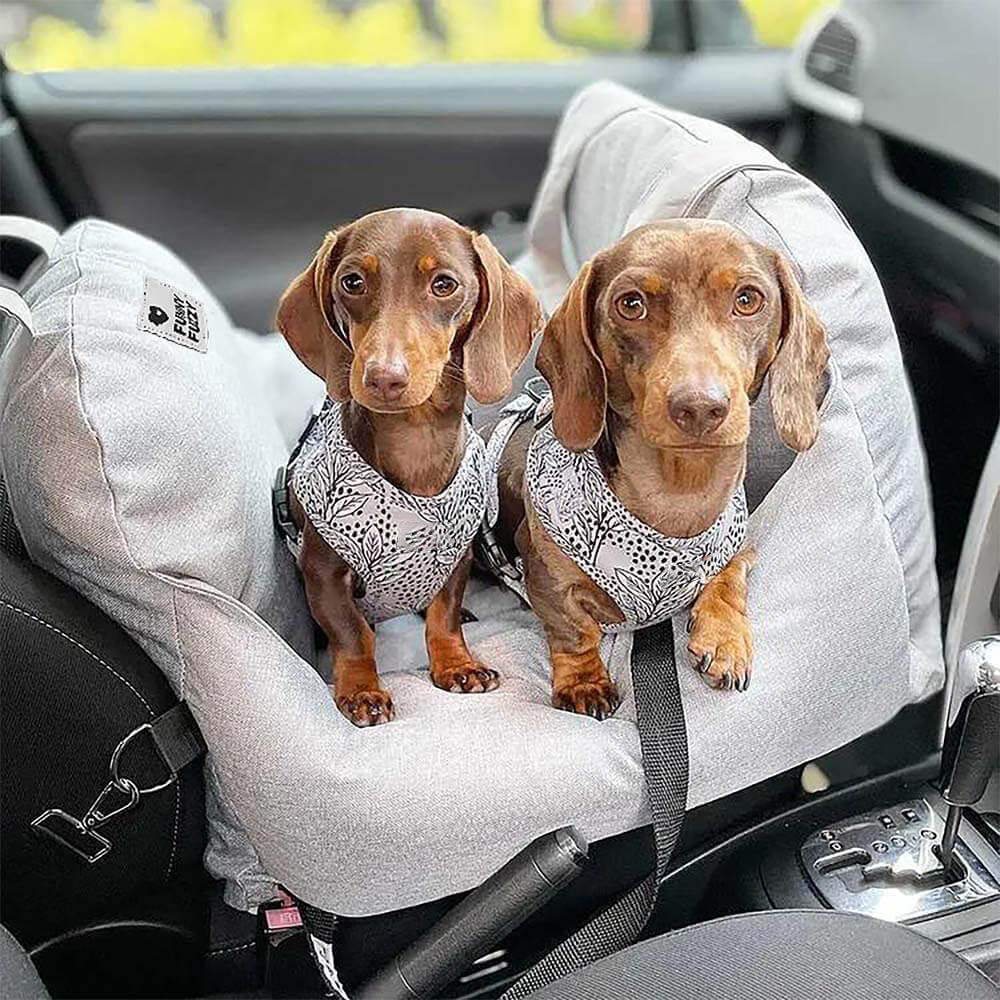 First Class Dog Seat